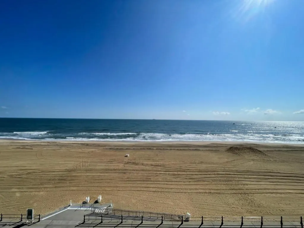 Playing Hooky At Dolphin Run-Oceanfront Condo-Pool Вирджиния-Бич 0*,  США